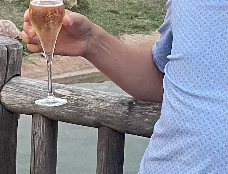 Profil de Henri-claude, 48 ans, Escort Gay France à Saint-Hilaire-du-Harcouët
