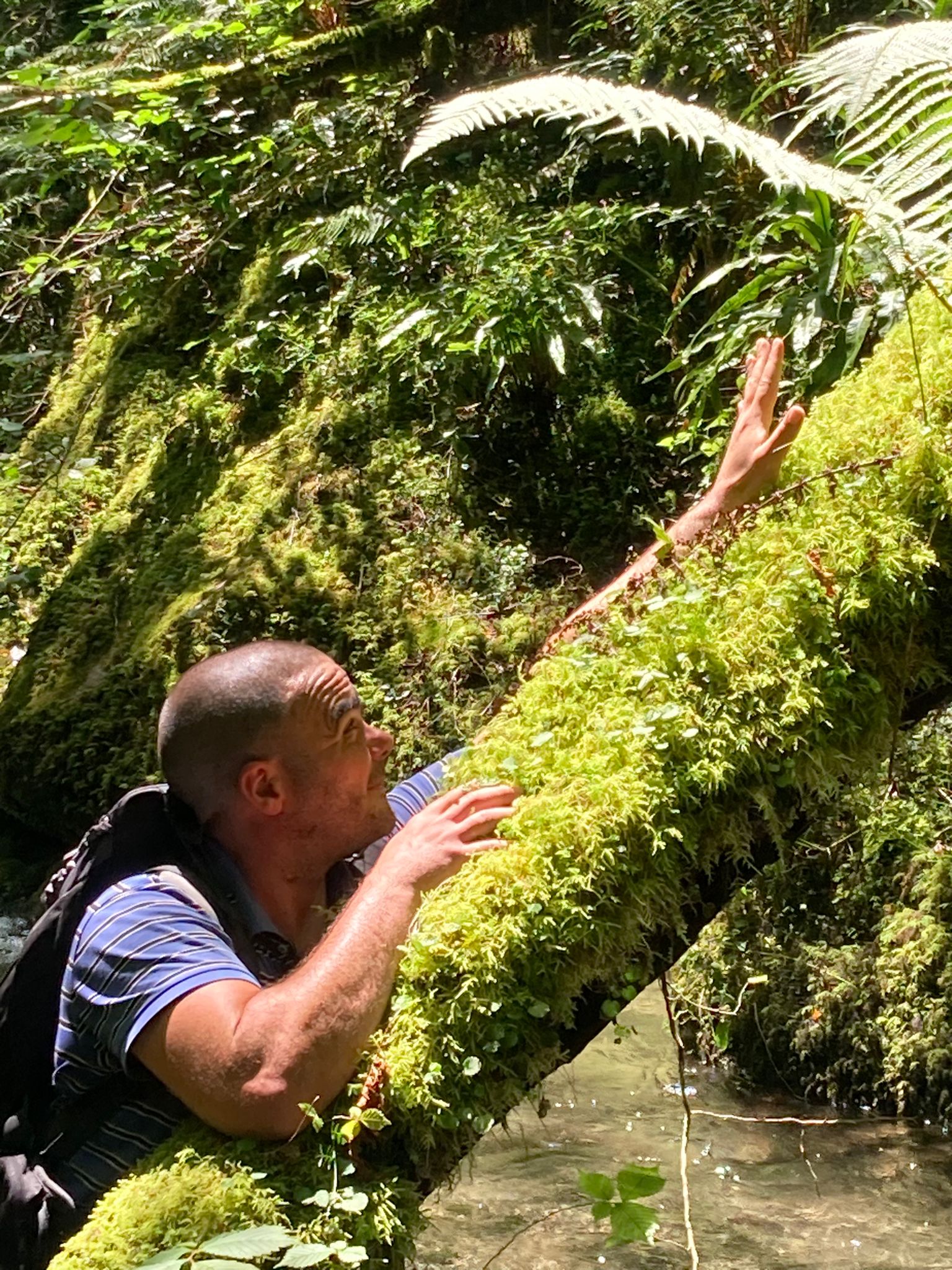 Profil de Rayley, 41 ans, Escort Gay France à Arcey