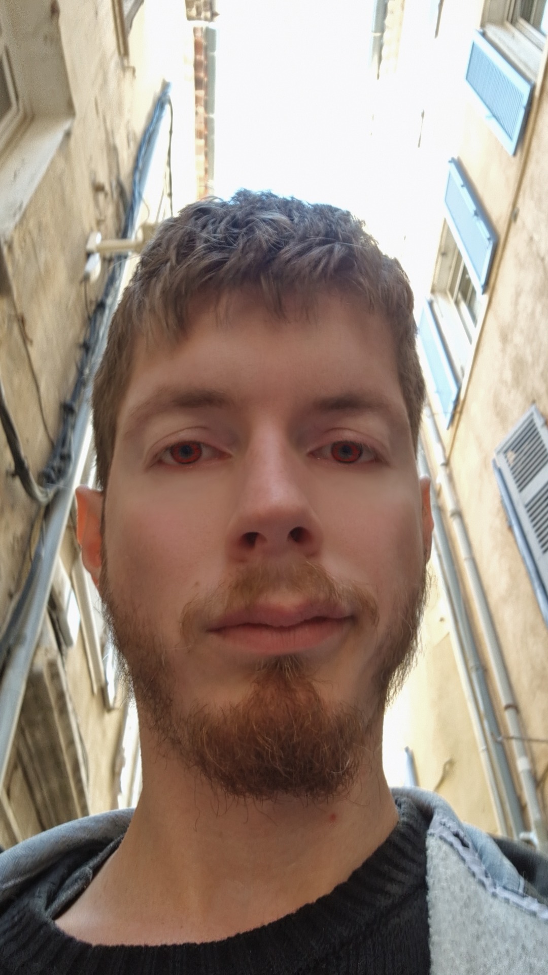 Profil de Alphee, 31 ans, Escort Gay France à Gigny-Bussy